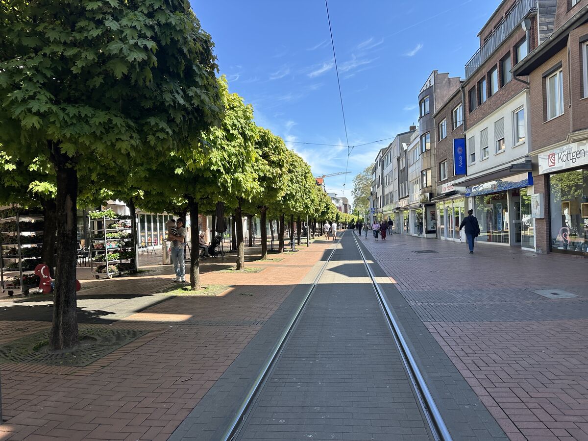 Hauptstraße Frechen mit Platanenallee und Linie-7-KVB-Schienen — Frechener Innenstadt mit direkter Köln-Anbindung